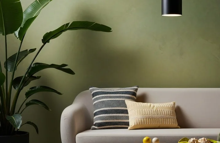 Strelitzie neben einem Sessel an einer grünen Wand